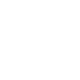 Google Icon